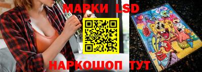 альфа пвп Новодвинск