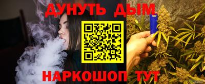 альфа пвп Новодвинск