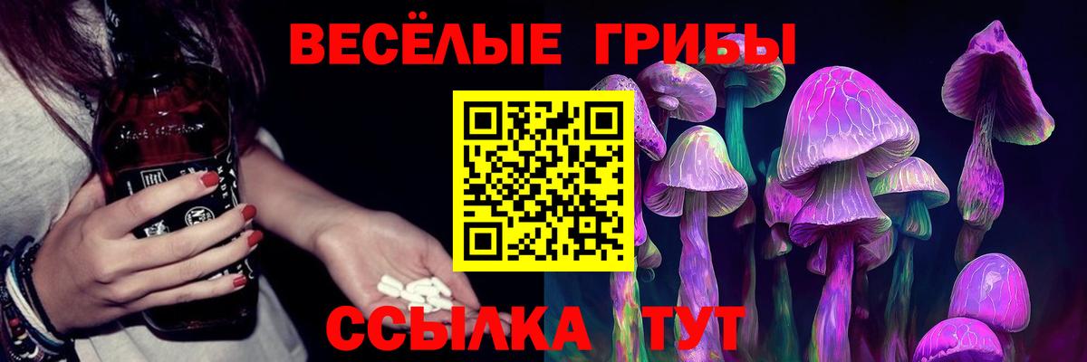 Псилоцибиновые грибы Cubensis  Галлюциногенные грибы прущие грибы  Гулькевичи 