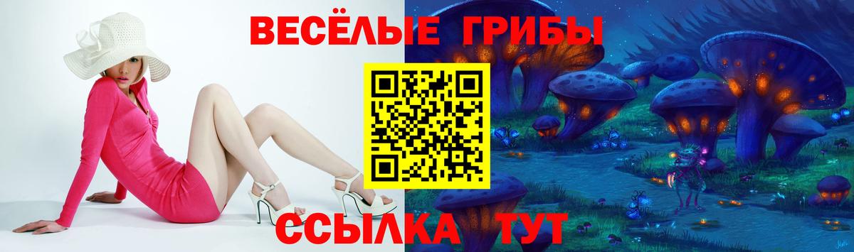 Галлюциногенные грибы Cubensis Гулькевичи